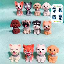 Cute Satsuma Schnauzer Teddy Pago Golden-haired Shiba Inu bear dog dog shaking his head car decoration car home decoration