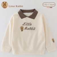 4827 Абрикосовый цвет [весна и осенняя модель]