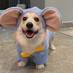 Corgi Clothes Pet Autumn and Winter Clothing Thickened Warm Vest for Small and Medium-Sized Dogs Bichon Schnauzer Shiba Inu Dog Clothes