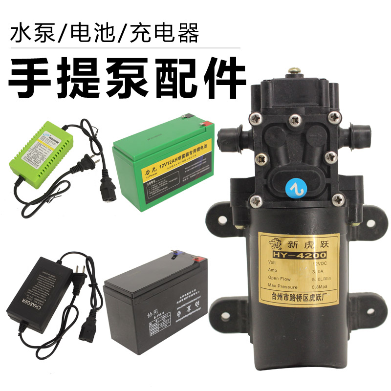 12V High Power Smart Pump Motor Sprayer Pump Self-Suction High Pressure Beating Drug Mechatronic Pool Charger Accessories-Taobao