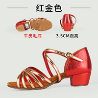 Красное золото/5 ремня суперпозиция/дно кожи