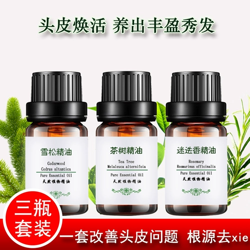 Эссенция чайного дерева с розмарином, натуральное массажное масло для кожи головы, кондиционер, 20 мл, контроль жирного блеска