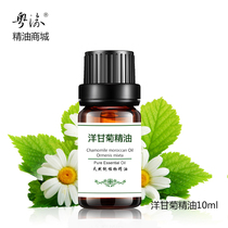Moroccan chamomile essential oil 10ml one-way skin care rehydration moisturizing massage sensitive face face