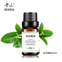 Osmanthus essential oil 10ml one-way skin care osmanthus oil facial natural aromatherapy beauty salon massage moisturizing and hydrating