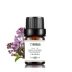 Nhà sản xuất tinh dầu đơn phương chính hãng tinh dầu đinh hương nguyên chất 5ml dầu đinh hương tinh dầu - Tinh dầu điều trị