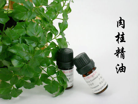 Nhà sản xuất tinh dầu đơn phương Chính hãng Tinh dầu quế 5ml - Tinh dầu điều trị tinh dầu hoa bưởi