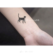 Xinsu orange dark line tattoo patch waterproof girl lasting cat Korean dog simulation natural cute hipster