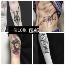 Flower arm tattoo sticker waterproof men lasting simulation tattoo English totem arm personality deer realistic 3d Monkey King