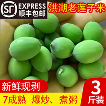 Shunfeng Yu fat man Hubei Honghu fresh old lotus seeds rice showerhead is now picked and stripped 2021 micro-old 3 pounds