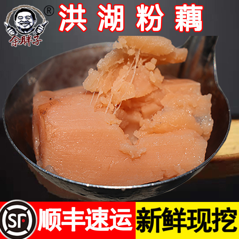 Yu Fat Zi Hubei Honghu Lotus Root Soup Powder Lotus Fresh Dig Specialty Osmanthus Glutinous Rice Sugar Lotus Lotus Vegetable Red Lotus Root
