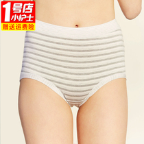 Little Nurse Ladies Panties Womens Thin Modal Cotton Breathable High Waist Belly Size Striped Shorts
