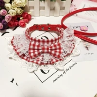 Арбуз красная сетка