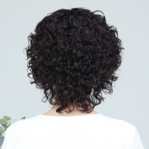 Wig Woman Short Hair Curly Hair OLD AGE FULL REAL HAIR HEADGEAR TYPE LIVE-ACTION HAIR ALL HEADGEAR NATURAL MOTHER SHORT HAIR SUMMER