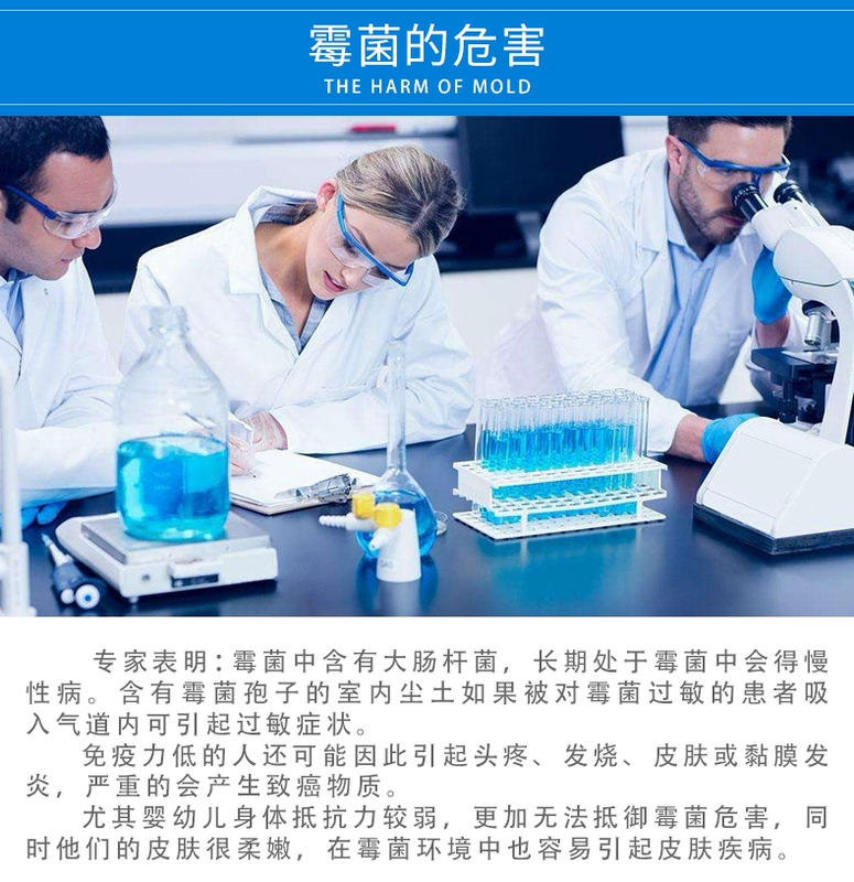 Khuôn tẩy tường tường trắng làm sạch tường để tạo tác nhân chống nấm mốc sửa chữa điều trị hộ gia đình nhặt rác - Trang chủ