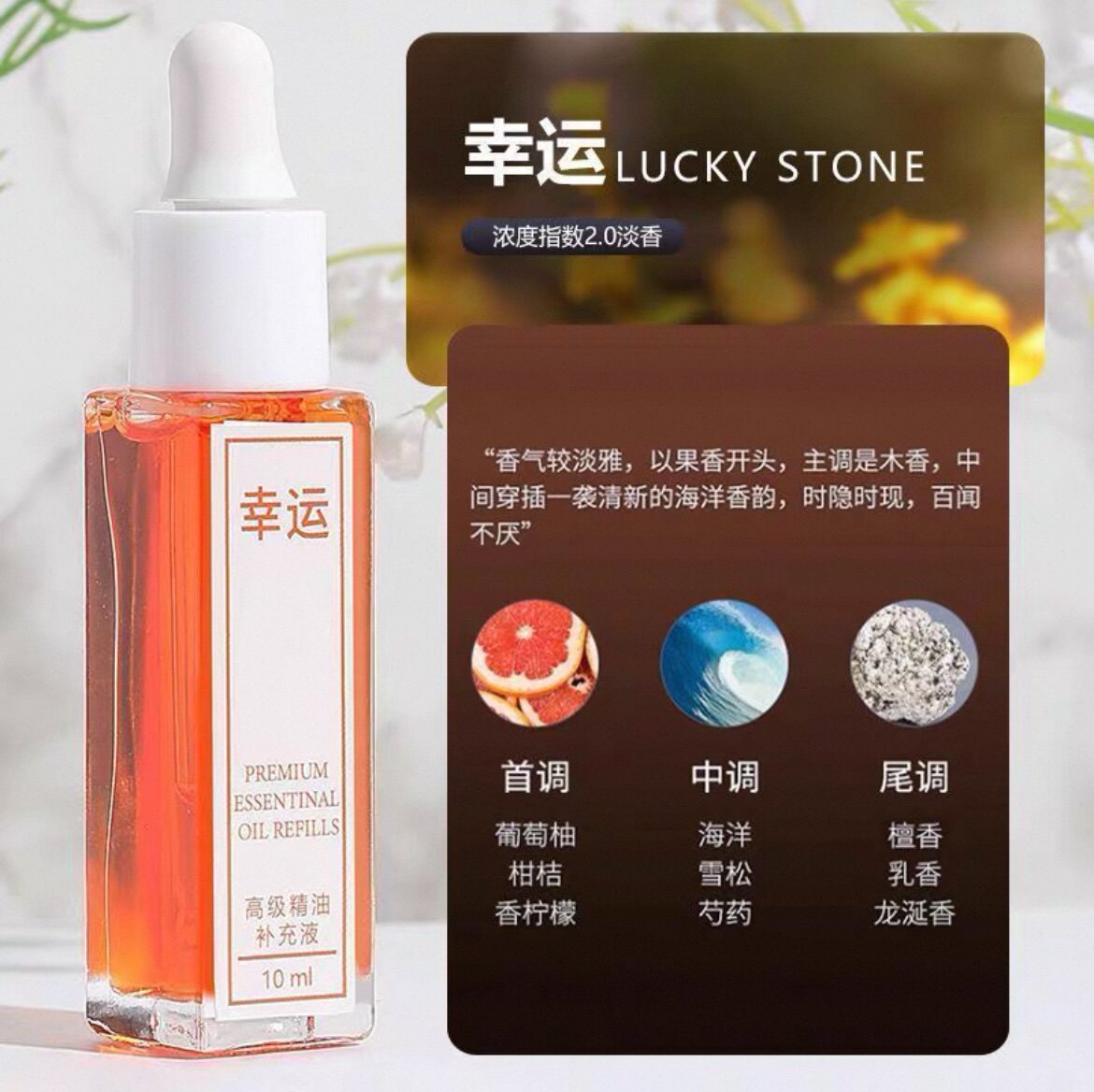 Langlong Refill Liquid Car Air Freshener Essential Oil Pendant 10ml for Car Use, Long-lasting Light Scent Perfume by Bit Logic