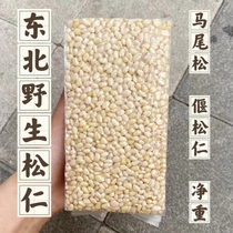 Pine nuts Daxinganling wild horsetail pine nuts 250g500g vacuum Northeastern specialty mature dried nuts pine nuts