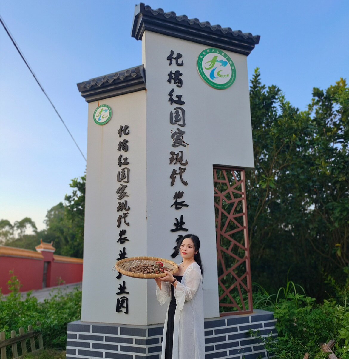 化州市正毛化橘红店