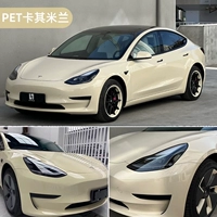 (Национальный пост с пакетом) Кристал Хами Милан