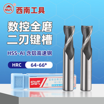 SWT Southwest CNC milling cutter straight shank keyway milling cutter hard aluminum-containing high-speed steel 2-edge white steel milling cutter for stainless steel