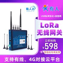 lora Concentrator Wireless Gateway Ad Hoc Network Full Netcom Private Private Protocol USR-LG220