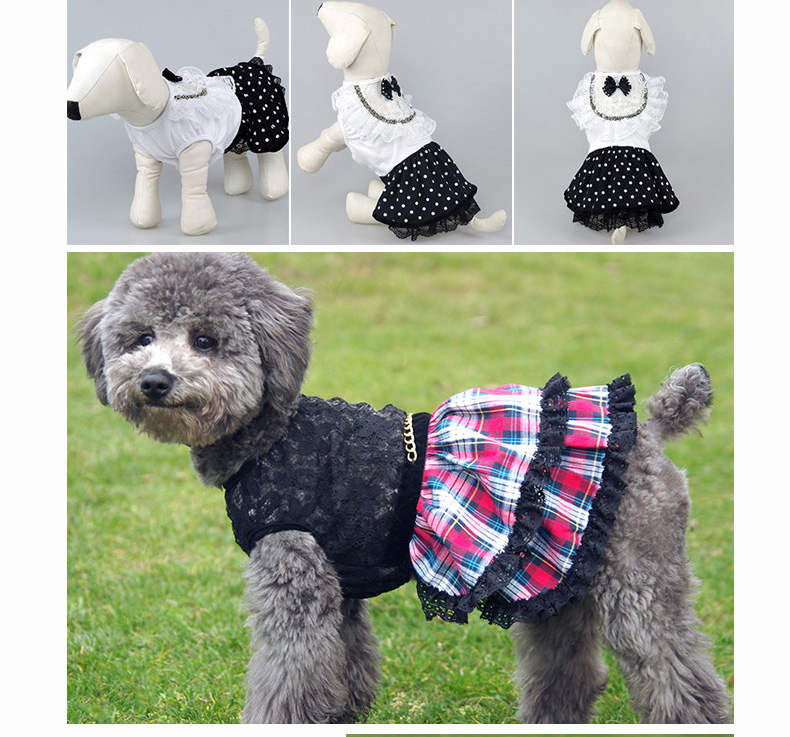 Quần áo chó mùa hè quần áo thú cưng quần áo mùa xuân và mùa hè chihuahua chó Pomeranian hơn gấu Teddy váy cún con - Quần áo & phụ kiện thú cưng nón cho chó