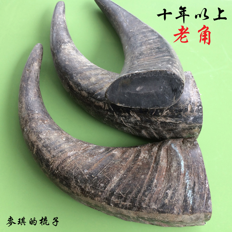 Horn Raw Material 10 Older Black Buffalo Horn Raw Material Solid Bull Corner Tip Slingshot Raw Material