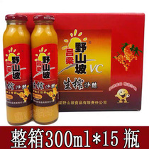 Shanxi specialty Shanxi Luliang wild hillside sea buckthorn juice 300ml * 15 bottles of raw seabuckthorn juice beverage