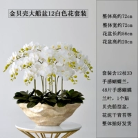 12 белых наборов больших золотых лодок бассейнов