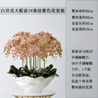 Big White Ship Basin 16 полосатых фиолетовых костюмов