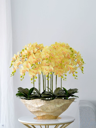 Высокий негабаритный Phalaenopsis Flower Set Floak Potting Hotel Grand Living Room