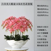 Daobai Ship Basin 16 Zhu Red Set