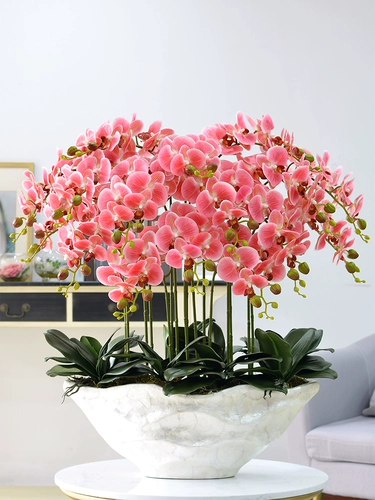 Высокий негабаритный Phalaenopsis Flower Set Floak Potting Hotel Grand Living Room