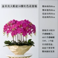 Dajin Ship Basin 16 Purple Red Set Set