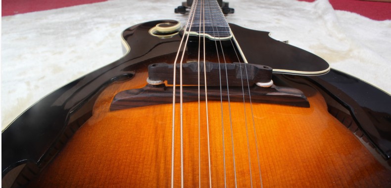 Veneer đầy đủ, mandolin thủ công, mandolin, nhạc cụ dân gian Tây Tạng, nhạc cụ phương Tây, tùy biến dàn trống
