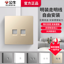 Bull telephone computer socket household exposed wired weak current voice network broadband network plug dual interface G59 gold