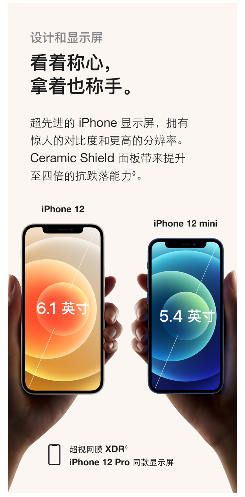 移动福利 Apple 苹果 iPhone 12 5G智能手机 128GB 图4
