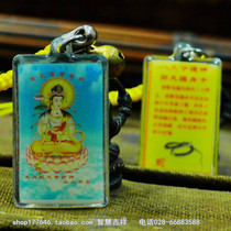 Zodiac Amulet Zodiac Snake