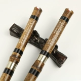 铜岭明珠 Xiaozi Instrument Ding Zilin восемь -дыра Xiao Xiao Professional Performance Paves G.