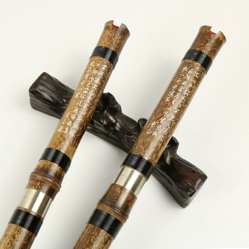 铜岭明珠 Xiaozi Instrument Ding Zilin восемь -дыра Xiao Xiao Professional Performance Paves G.