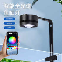 Fish tank downlight ornamental native fish tank lamp fully waterproof ultra-bright LED algae explosion lamp full spectrum stream water grass lamp