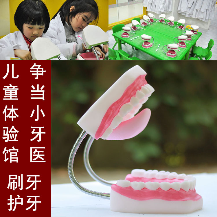 Children Experience Pavilion Experience Center Dentist Hall Oral Teeth Model Toothbrushing Denture Teaching Aids