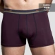 Pierre Cardin Modal Quần lót nam Boxer Quần lót Quần lót Quần hộp Hộp quà tặng