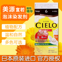 Japan Original Imported Beauty Source CIELO Xuan Ruo Dyeing Hair Moli Foam Plant Shade White Bubble Black Hair Cream Cream