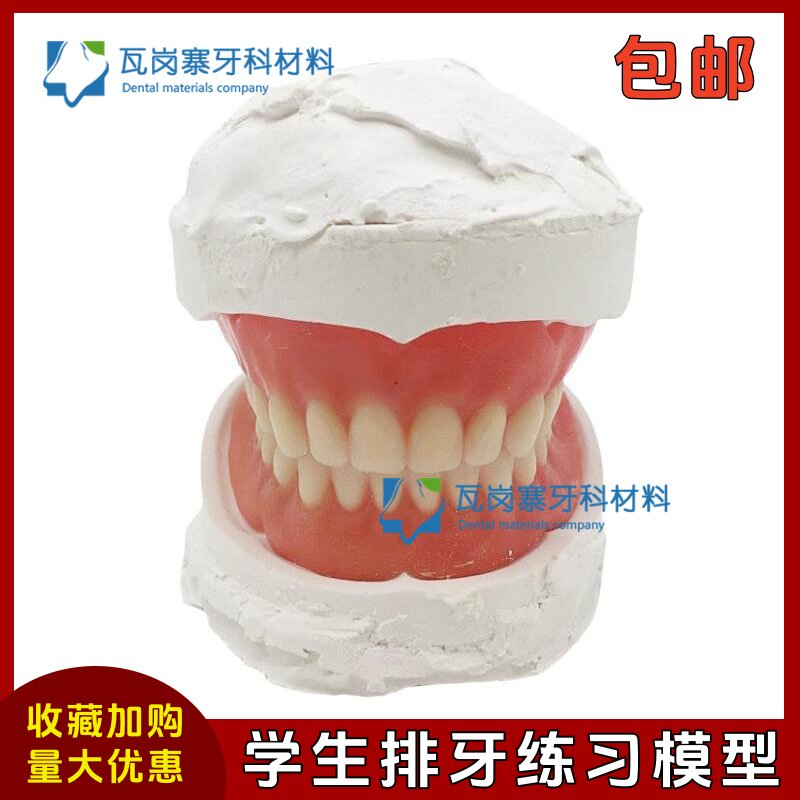 牙科材料 义齿排列工具套装 颌架 全口石膏牙模人工排牙模型 包邮