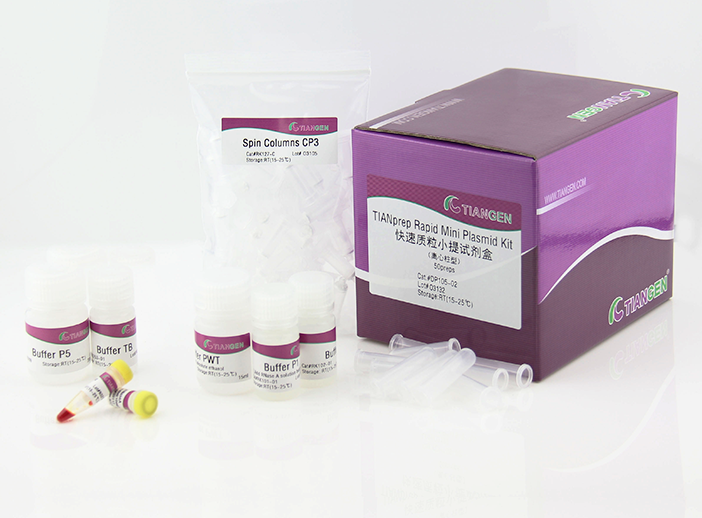 含票TIANGEN天根快速质粒小提试剂盒DP105-02 50次DP105-03 100次