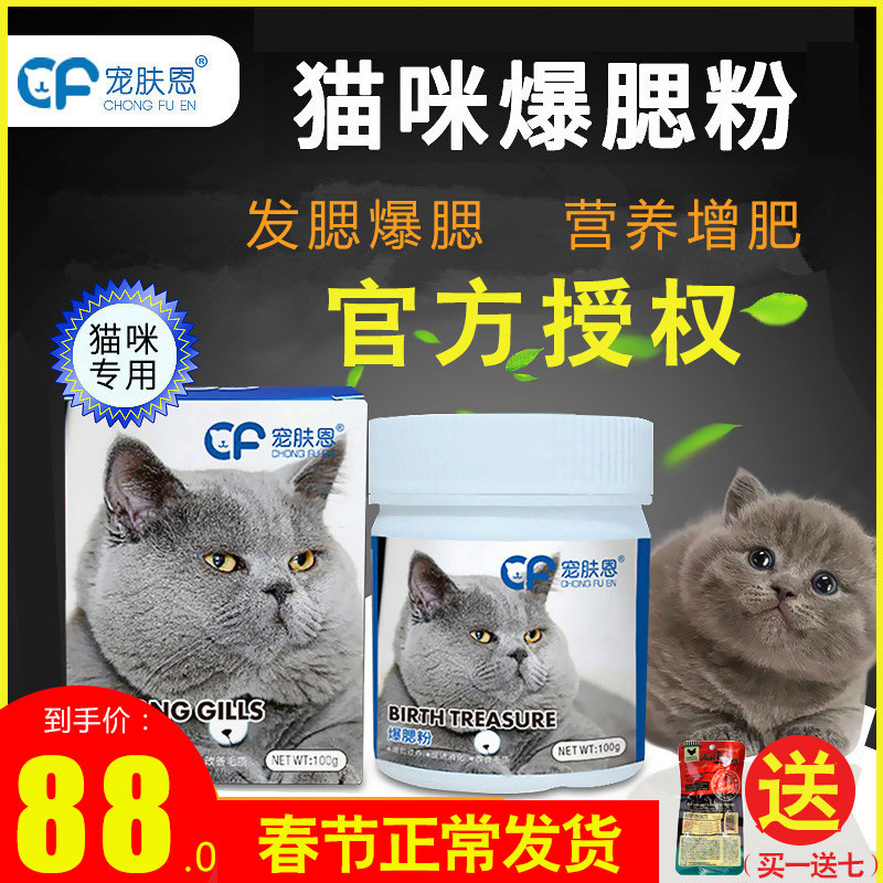 Flattering Emmy Kitty Blush Hair Blush Hair Cream Pummy Cat Puppets Puppets Puppets Puppets Puppets Puppets Puppets Puppets Puppeteal Nutrition Fatter Kitten