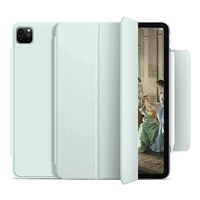 [Магнитная всасывающая пряжка] Тендерная зеленая ★ Отправить программное обеспечение для обучения