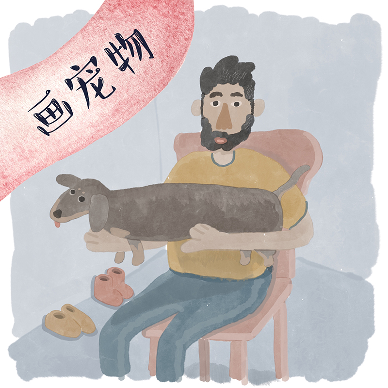 Drawing avatar q version hand-painted pet portrait portrait custom ugly comic cartoon graffiti cat cat dog painting photo