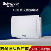 Schneider Electric Skywing Series 12 Circuit Power Box 13679 Cabling Box Distribution Box White