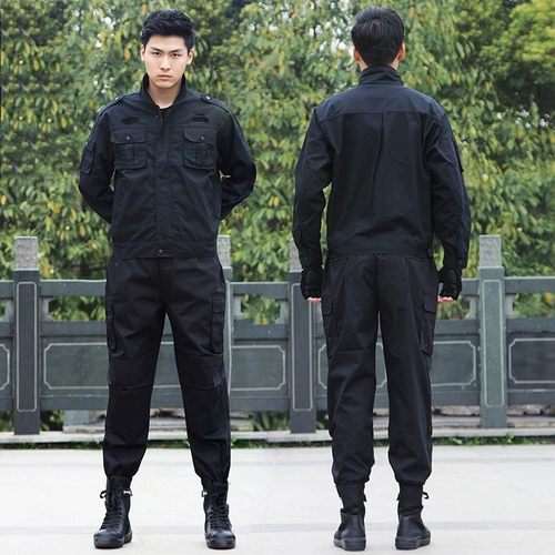 Осенний демисезонный комплект для тренировок, куртка для работы